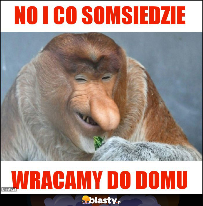 No i co somsiedzie