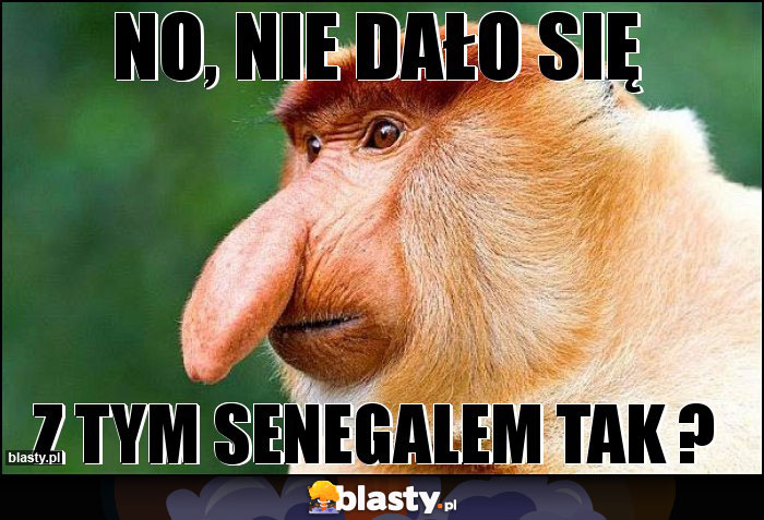 No, nie dało się No, nie dało się