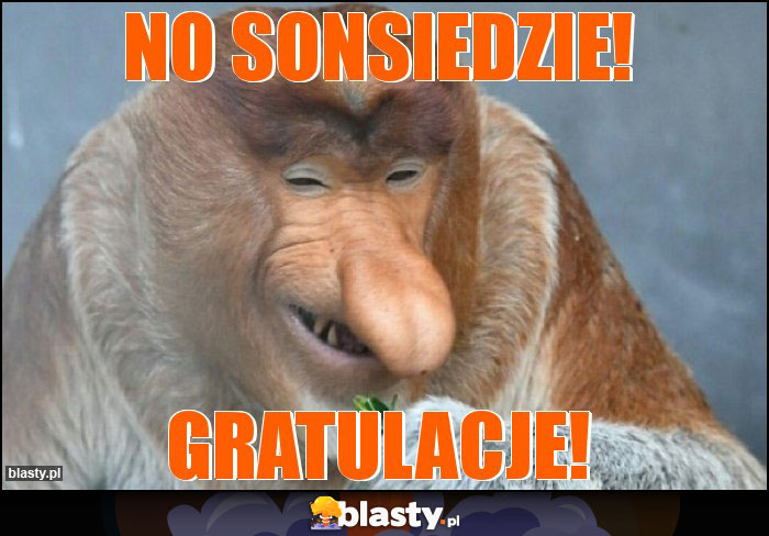 No sonsiedzie! No sonsiedzie!