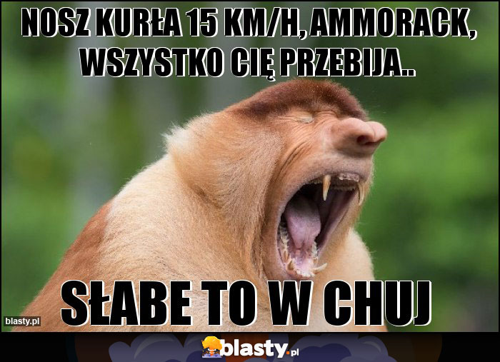 nosz kurła 15 km/h, ammorack, wszystko cię przebija.. nosz kurła 15 km/h, ammorack, wszystko cię przebija..