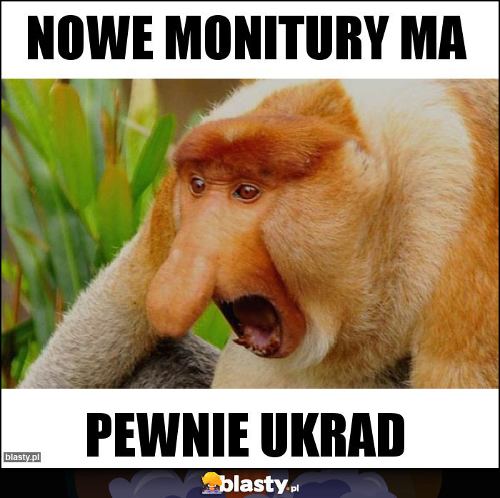 Nowe monitury ma Nowe monitury ma