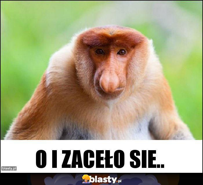O i zaceło sie.. O i zaceło sie..