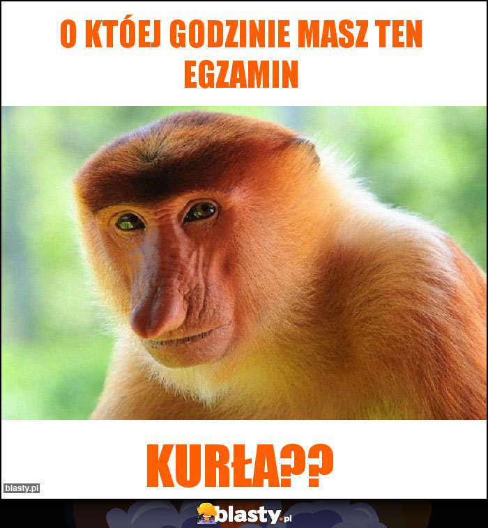 o któej godzinie masz ten egzamin o któej godzinie masz ten egzamin