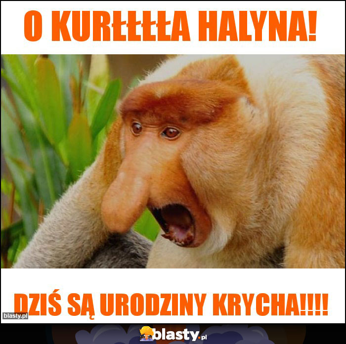 O KurŁŁŁŁa Halyna! O KurŁŁŁŁa Halyna!