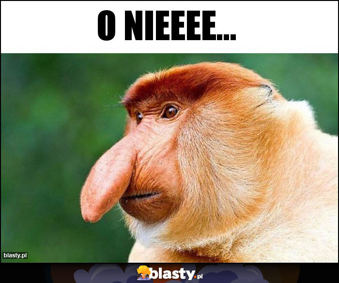 O nieeee... O nieeee...