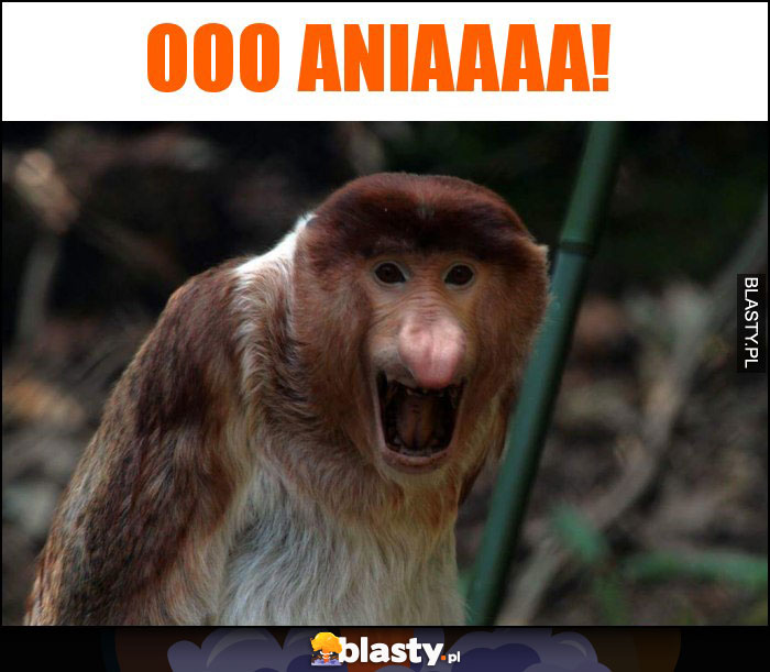Ooo ANIAAAA! Ooo ANIAAAA!