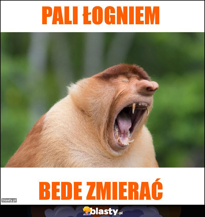 Pali łogniem Pali łogniem