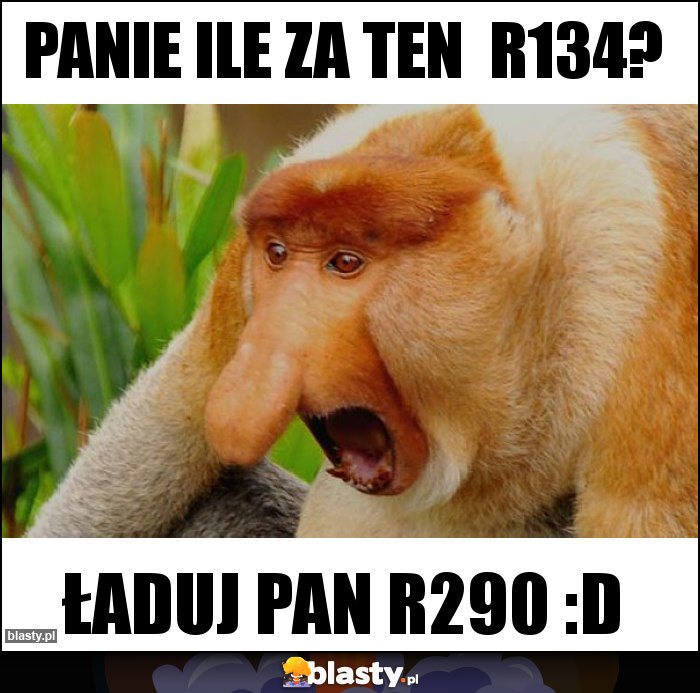 Panie ile za ten R134? Panie ile za ten R134?