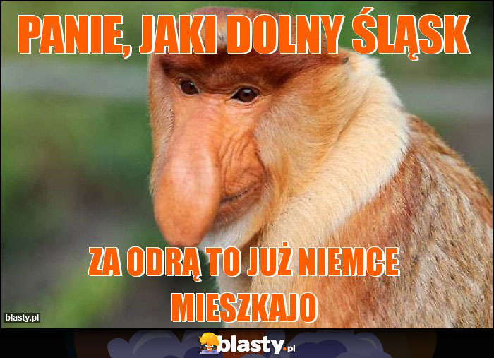 Panie, jaki dolny Śląsk Panie, jaki dolny Śląsk