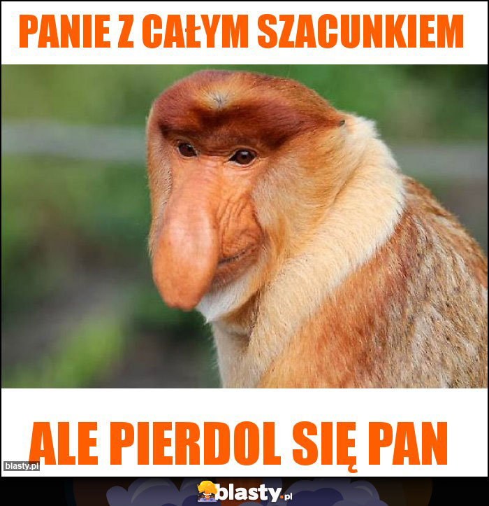 Panie z całym szacunkiem Panie z całym szacunkiem