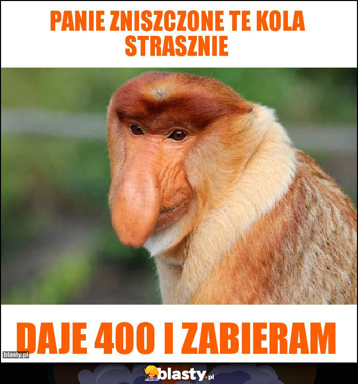 Panie zniszczone te kola strasznie Panie zniszczone te kola strasznie