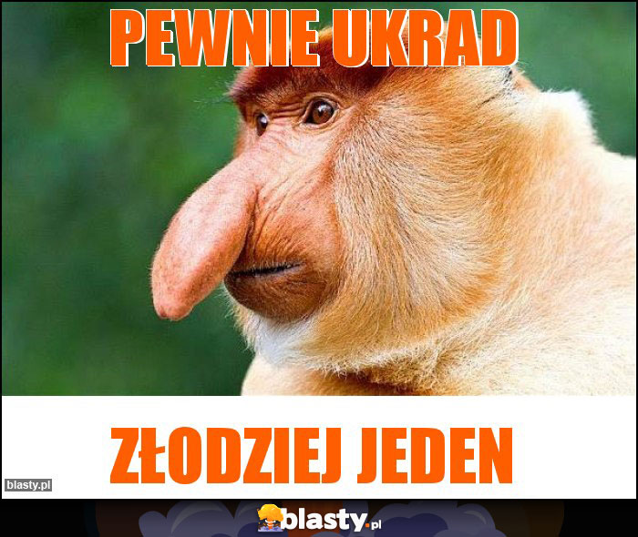 PEWNIE UKRAD PEWNIE UKRAD