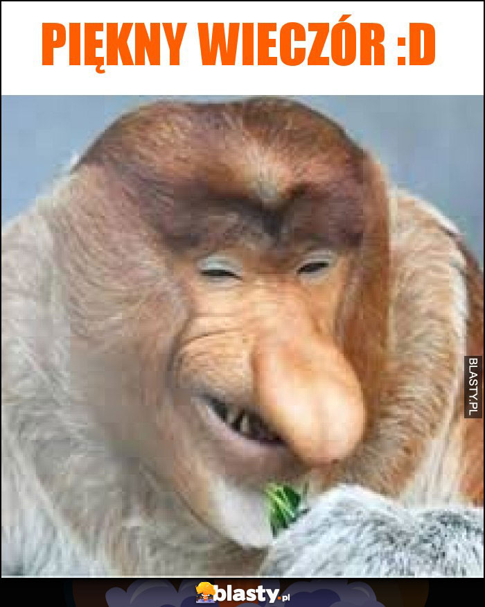 Piękny wieczór :D Piękny wieczór :D
