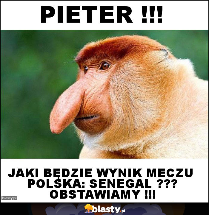 Pieter !!! Pieter !!!