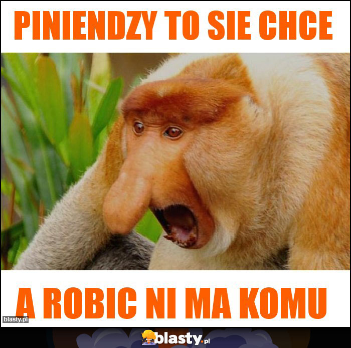 Piniendzy to sie chce