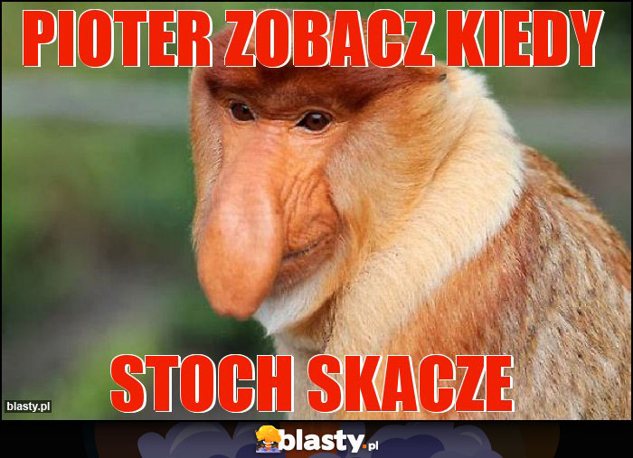 Pioter zobacz kiedy