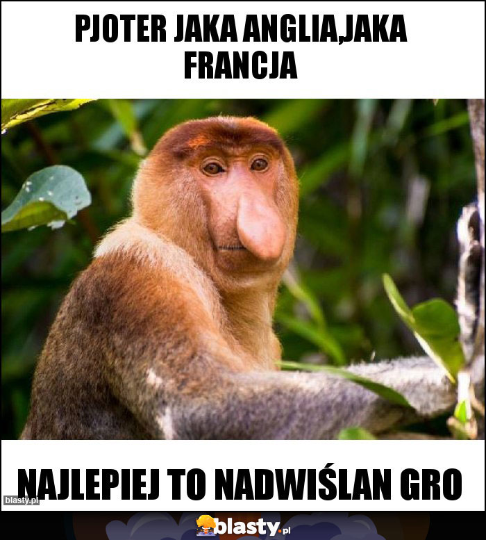Pjoter jaka anglia,jaka francja Pjoter jaka anglia,jaka francja