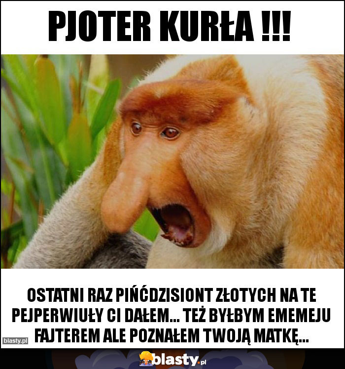 PJOTER KURŁA !!! PJOTER KURŁA !!!