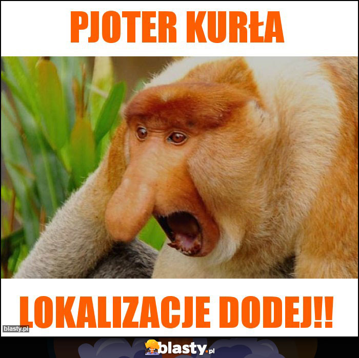 PJOTER KURŁA PJOTER KURŁA