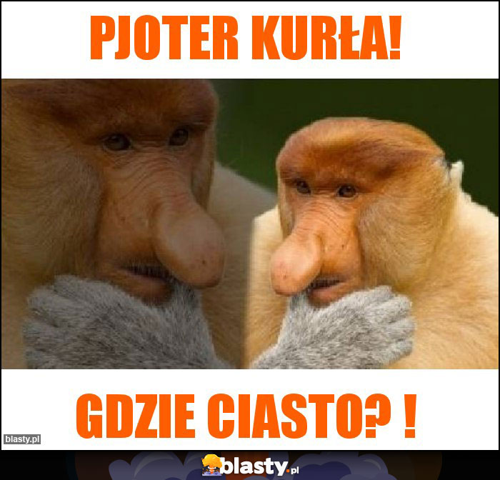 Pjoter kurła!