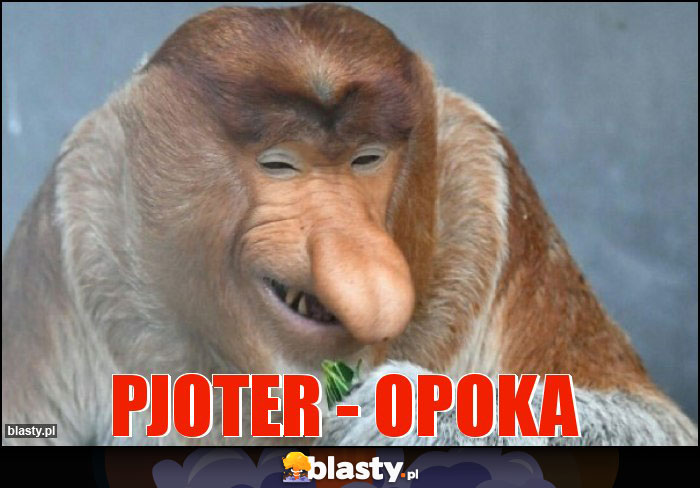 PJOTER - OPOKA