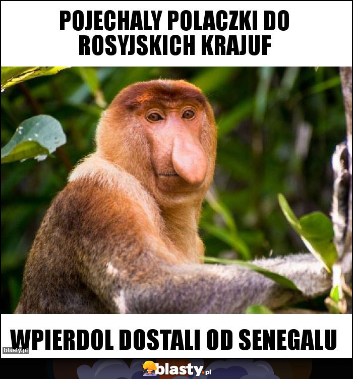 Pojechaly polaczki do rosyjskich krajuf Pojechaly polaczki do rosyjskich krajuf