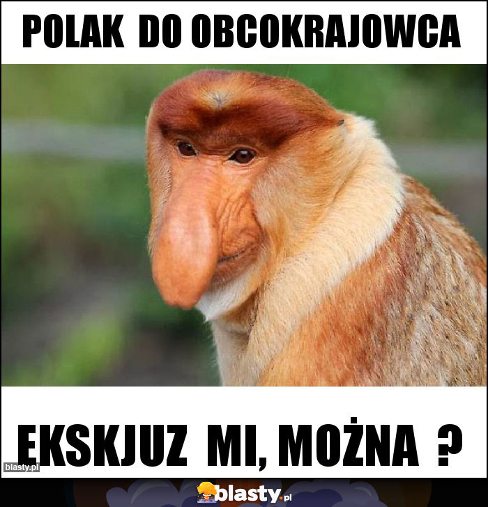 Polak do obcokrajowca Polak do obcokrajowca