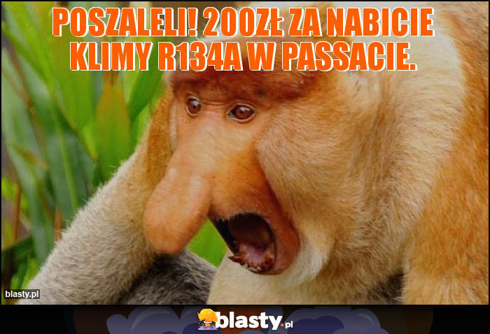 Poszaleli! 200zł za nabicie klimy r134a w Passacie. Poszaleli! 200zł za nabicie klimy r134a w Passacie.