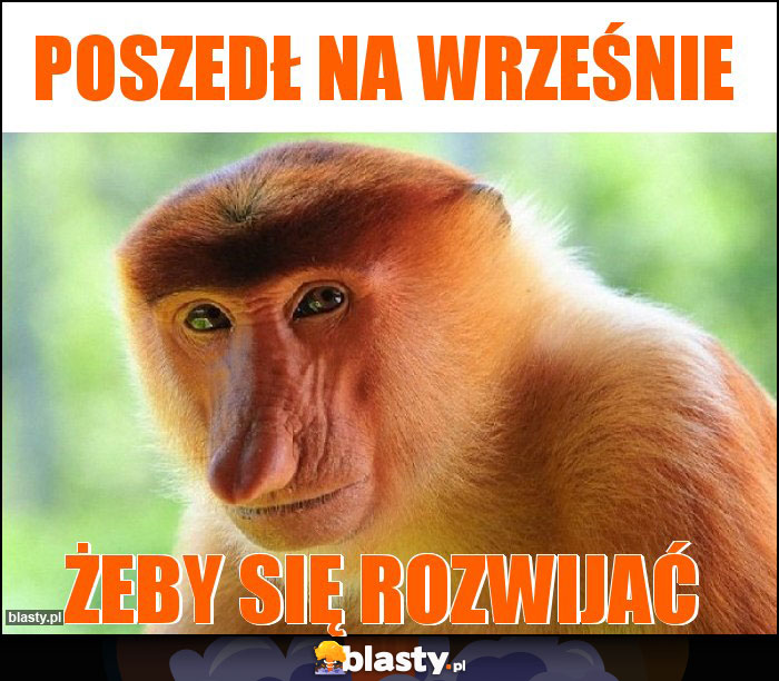 Poszedł na Wrześnie