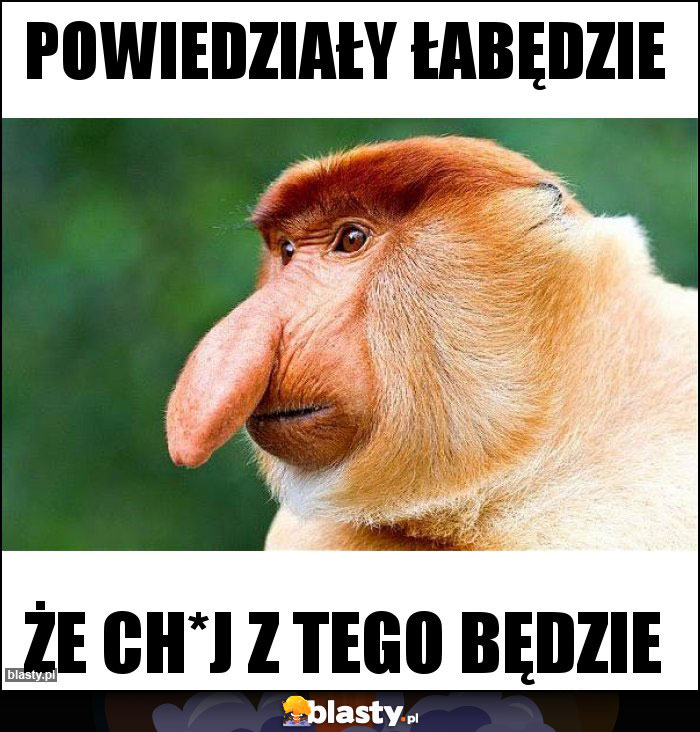 Powiedziały łabędzie Powiedziały łabędzie