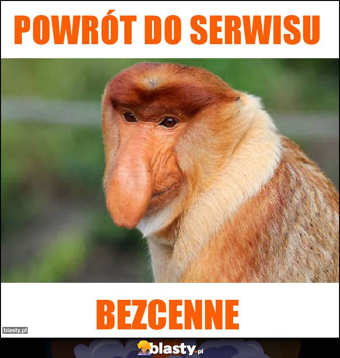 powrót do serwisu powrót do serwisu