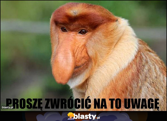 Proszę zwrócić na to uwagę Proszę zwrócić na to uwagę