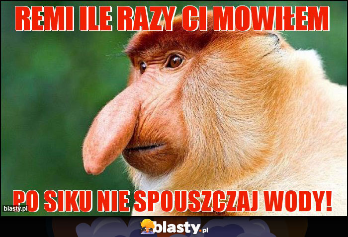 Remi ile razy Ci mowiłem Remi ile razy Ci mowiłem