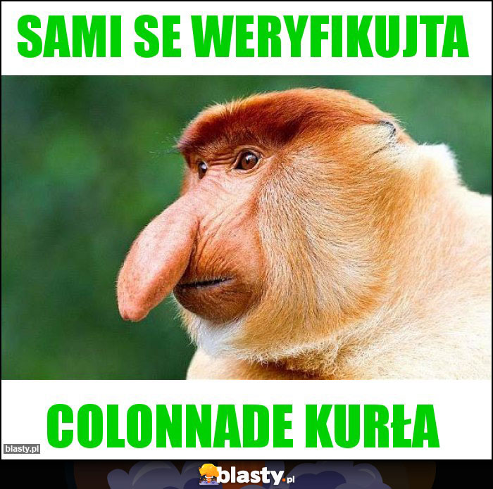 sami se weryfikujta sami se weryfikujta