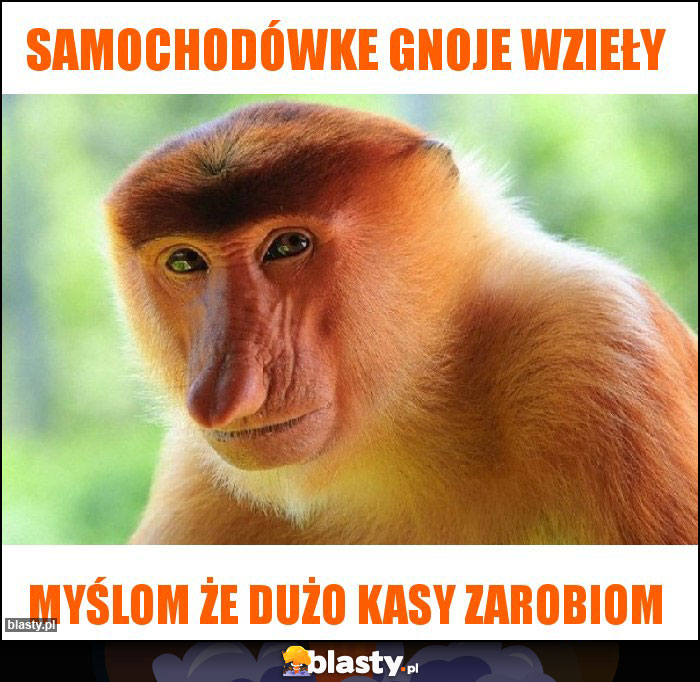 Samochodówke gnoje wzieły Samochodówke gnoje wzieły