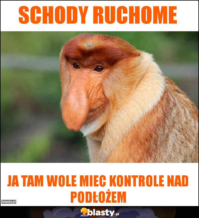 Schody ruchome Schody ruchome