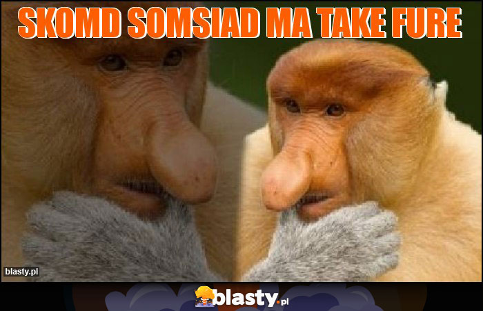 skomd somsiad ma take fure skomd somsiad ma take fure