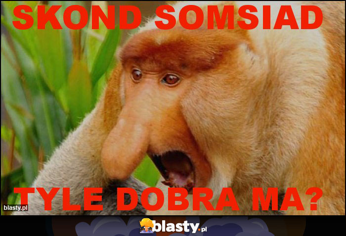 Skond somsiad Skond somsiad
