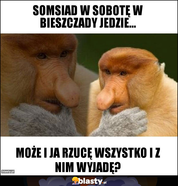 Somsiad w sobotę w Bieszczady jedzie... Somsiad w sobotę w Bieszczady jedzie...