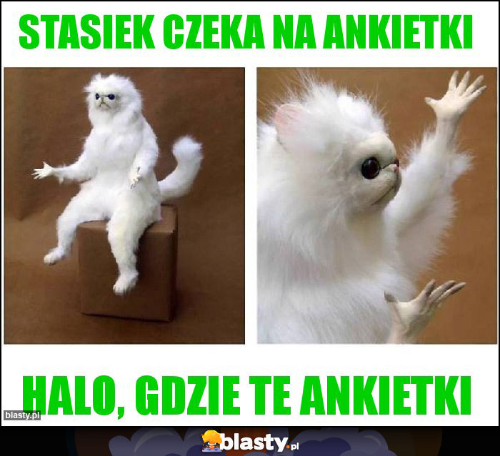 Stasiek czeka na ankietki Stasiek czeka na ankietki