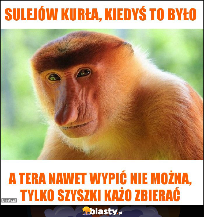 Sulejów kurła, kiedyś to było Sulejów kurła, kiedyś to było