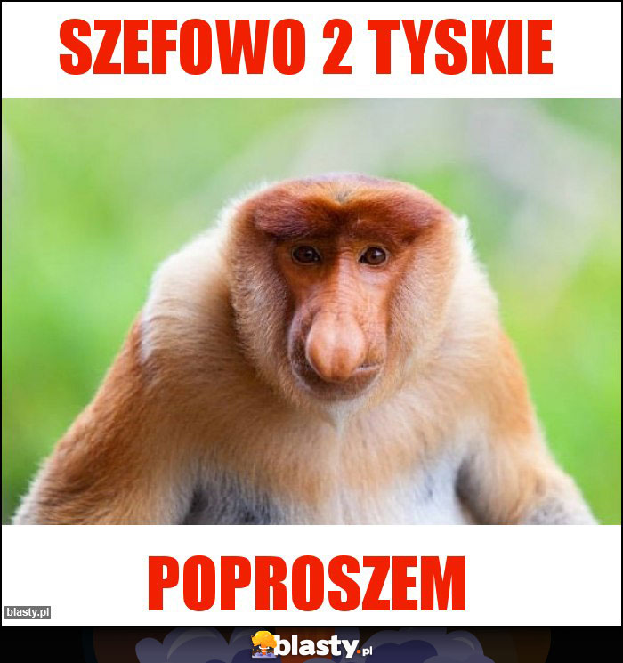Szefowo 2 Tyskie Szefowo 2 Tyskie