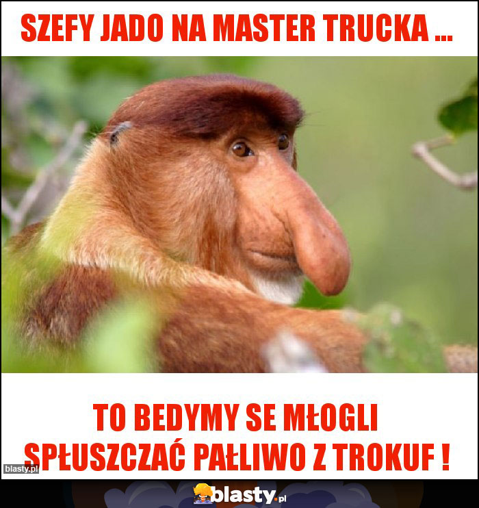 Szefy jado na master trucka ...