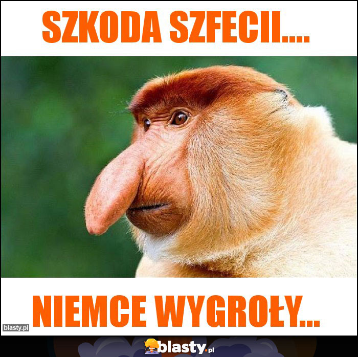 szkoda szfecii.... szkoda szfecii....
