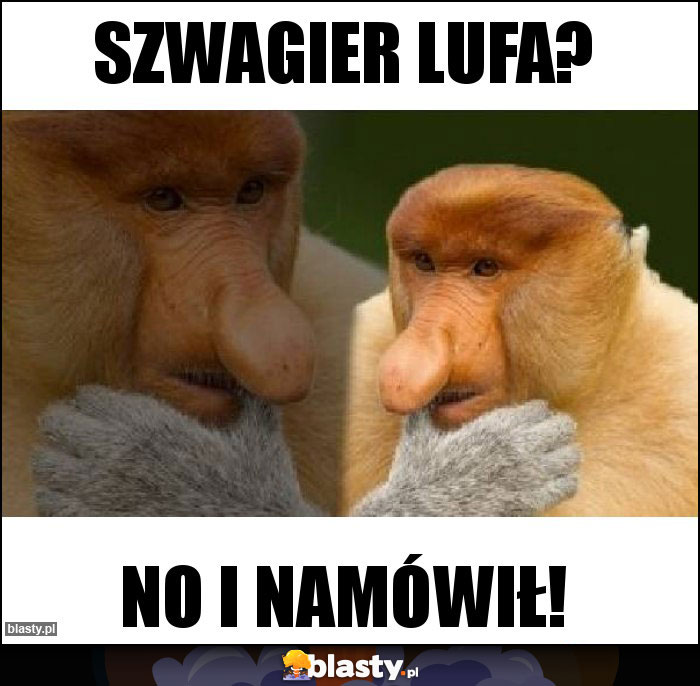 Szwagier lufa? Szwagier lufa?