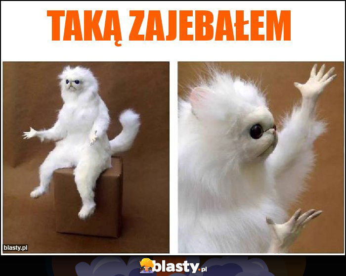 Taką zajebałem Taką zajebałem