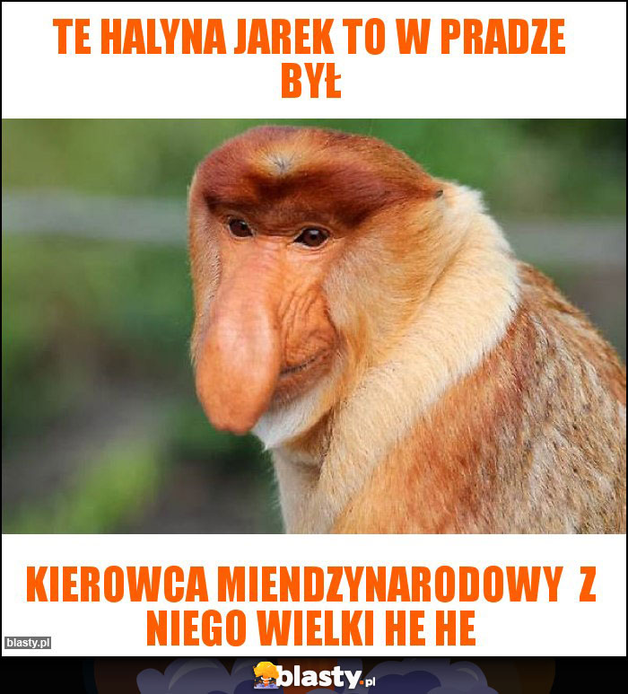 Te halyna jarek to w pradze był Te halyna jarek to w pradze był