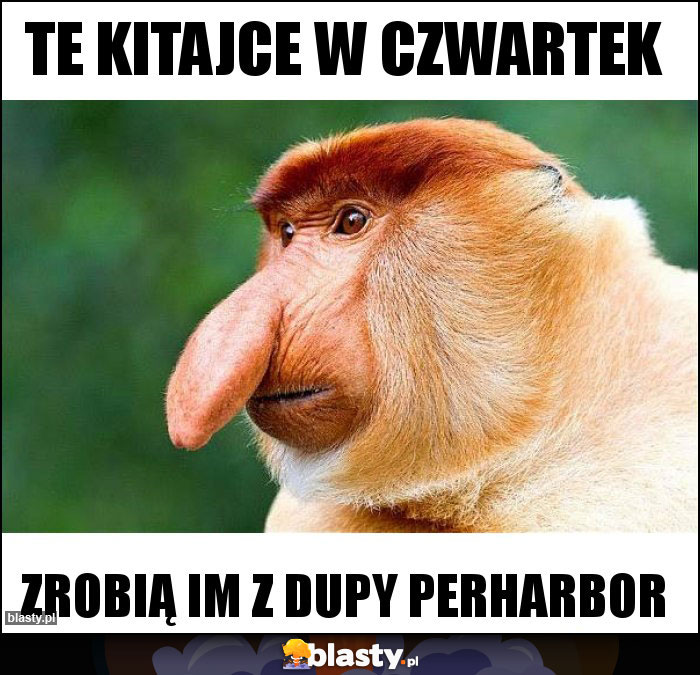 te kitajce w czwartek te kitajce w czwartek