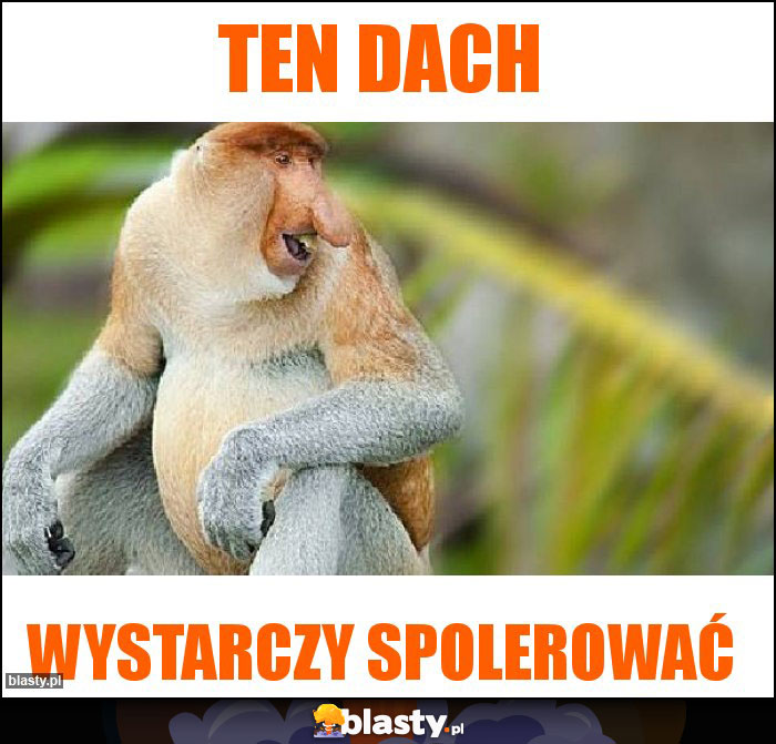 Ten dach