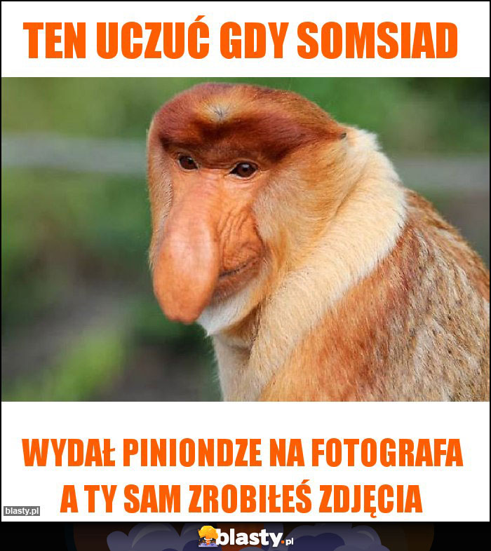 Ten uczuć gdy somsiad Ten uczuć gdy somsiad